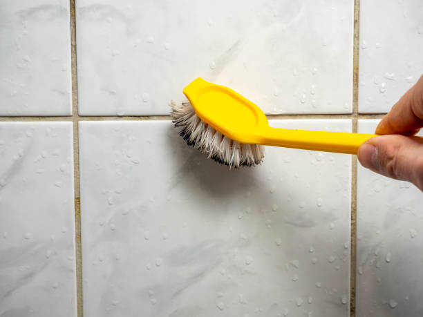 Best Commercial Mold Removal  in Clute, TX